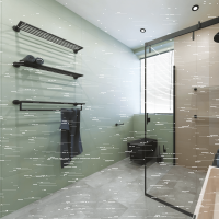 Spare Toilet Paper Holder - Stainless Steel, Black