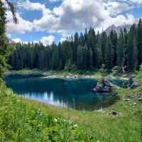 Clean and Clever Seifencreme rosa 5 Liter Nachfüllkanister