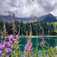 Clean and Clever Schaumseife classic 5 Liter Nachfüllkanister