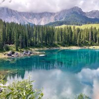 Clean and Clever Smart Waschlotion rosa 12 x 500 ml