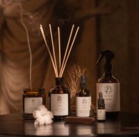 AirJet Hochgeschwindigkeits-Haartrockner mit bürstenlosem Motor und Wandhalterung