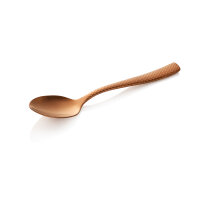 Dinner Spoon Set, 20 cm, Set of 12, Chrome nickel steel...