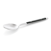 Dinner Spoon Set, 19.8 cm, Set of 12, Chrome steel 18/0,...