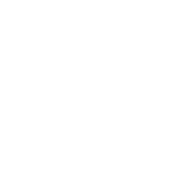 Universalzange, 26,5 cm, Chromnickelstahl