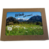 Reinigungsset Ferienwohnung 6-tlg Kitchen Kit