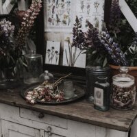 ALCHEMIST BOHEME Hair and Body Shampoo 30 ml Tube