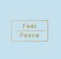 Rasierset in Kartonage 500 Stück