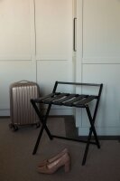 Strong Luggage Rack Mary I chrome