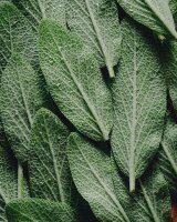 The Rerum Natura Body Cream with Organic Certified 40 ml