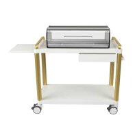 Special Serving Trolley - Dessert Trolley gold