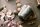 ALCHEMIST BOHEME Hair Conditioner 20 ml Tube