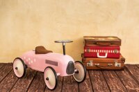 Profi Wooden Hotel Hanger with Bar and Clips lacquered 45 cm