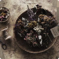 Alchemist Boheme Körper und Haarshampoo Nachfüllkanister 5 l