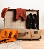 Btray Hotel DRY Iron with Automatic Safety Shut off