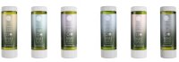 Geneva Green Shampoo 30 ml Flacon