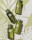 Geneva Green Duschgel 30 ml Flacon