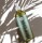 Geneva Green Duschgel 30 ml Flacon