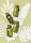 Geneva Green Hair and Body Wash Refillable Bottle 370 ml