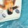 Anyah Shaving Kit Eco
