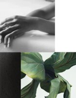 Guest Love Moisturizing Lotion for Hands and Body with Locked Pump 480 ml