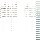 Türgarderobe Schwarz 3 Haken