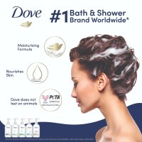 Dove Pro KEY for Double and Triple Wall Holder