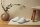 Hotel Slippers Coral Fleece with Closed Toe and Anti-slip Sole 30 cm