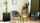 Emberton Absorption Hotel Minibar KENDAL 40 L Solid Door with Power Switch