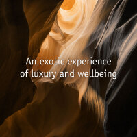 Prija Protective Conditioner Cartridge for Dispenser 360 ml