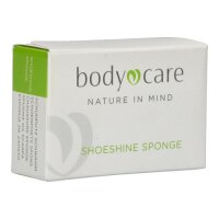 Bodycare Shoe Sponge in Paper Box