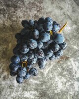 Itinera Daily Recharge 2-in-1 Shampoo & Duschgel mit verschlossener Pumpe, 370 ml