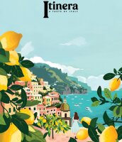 Itinera Flüssigseife Protective mit nachfüllbarem Pumpspender, 370 ml