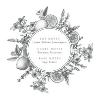 The Rerum Natura Haarconditioner Nachfüllkanister 5 Liter