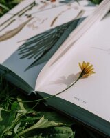 The Rerum Natura Bio-Zertifiziertes Shampoo im Refill-Pumpspender 380 ml